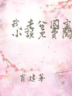 我老公国家发的小说免费阅读