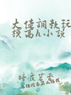 大佬调教玩弄嫩模高h小说