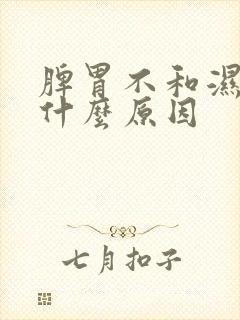 脾胃不和湿气重什么原因