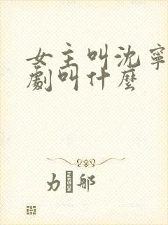 女主叫沈宁的短剧叫什么