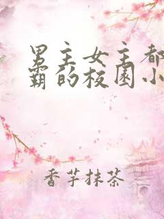 男主女主都是校霸的校园小说