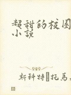 超甜的校园言情小说