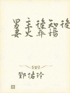 男主后知后觉追妻火葬场