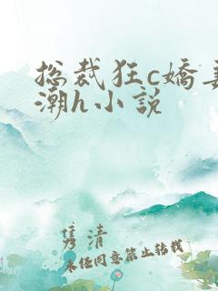 总裁狂c娇妻高潮h小说