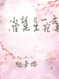 小说《一夜情深,霍先生宠妻无度》