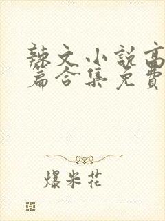 辣文小说高辣短篇合集免费阅读