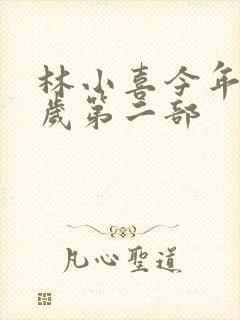 林小喜今年17岁第二部