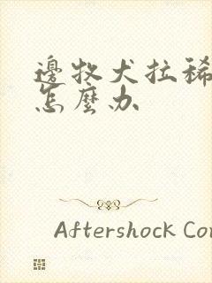 边牧犬拉稀带血怎么办