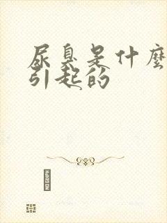 尿臭是什么原因引起的