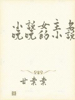 小说女主名叫林晚晚的小说