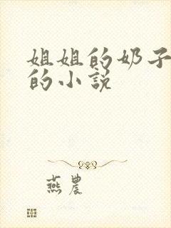 姐姐的奶子好大的小说