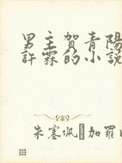 男主贺青阳女主许霖的小说