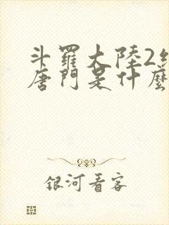 斗罗大陆2绝世唐门是什么