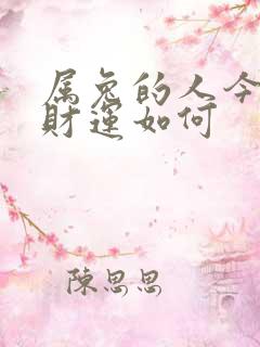 属兔的人今日偏财运如何