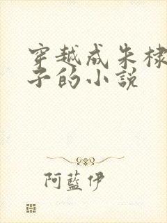 穿越成朱棣第四子的小说