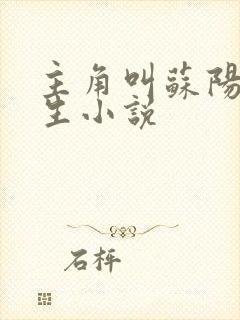 主角叫苏阳的重生小说