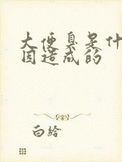 大便臭是什么原因造成的