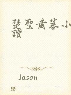 楚圣黄蓉小说阅读