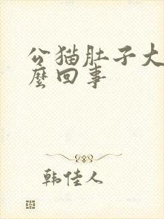 公猫肚子大是怎么回事