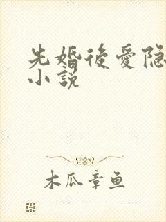 先婚后爱隐婚的小说