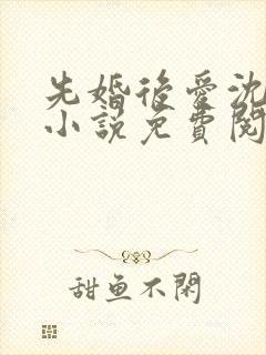 先婚后爱沈书记小说免费阅读全文