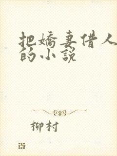 把娇妻借人生子的小说