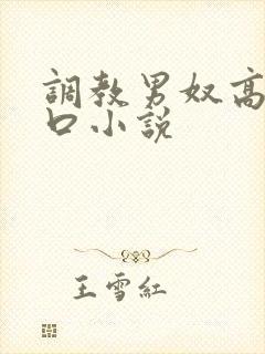 调教男奴高h重口小说