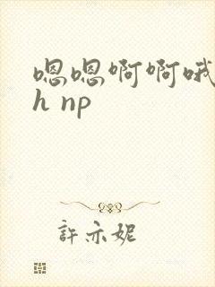 嗯嗯啊啊哦呜高h np