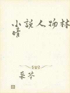 小说人物林北萧晴
