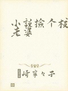 小说捡个校花做老婆