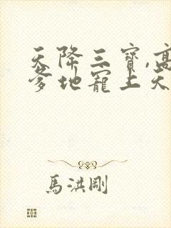 天降三宝,高冷爹地宠上天