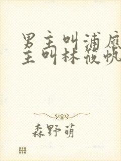 男主叫浦应辛女主叫林筱帆的小说