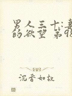 男人三十:妻子的欲望 第98章