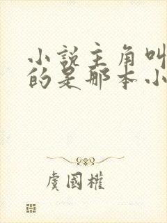 小说主角叫陈凡的是那本小说