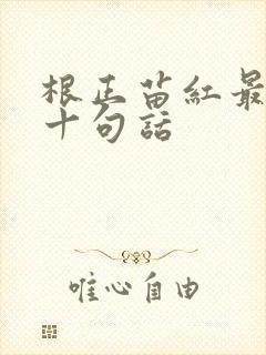 根正苗红最经典十句话