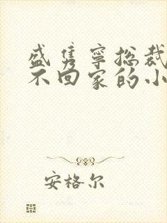 盛隽宁总裁婚后不回家的小说