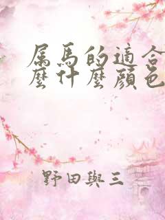 属马的适合带什么什么颜色的水晶手链