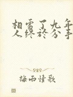 相处了九年的情人终于分手了