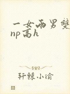 一女两男双胞胎np高h