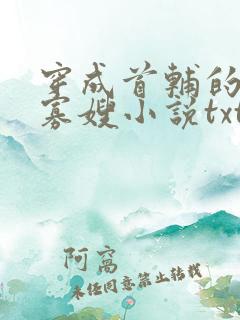 穿成首辅的恶毒寡嫂小说txt