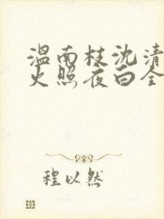 温南枝沈清宴烟火照夜白全文小说