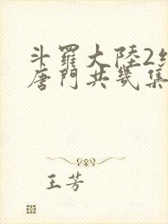 斗罗大陆2绝世唐门共几集