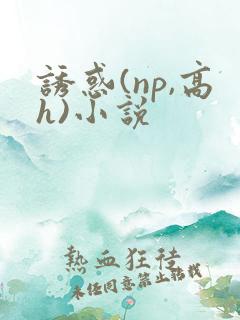 诱惑(np,高h)小说