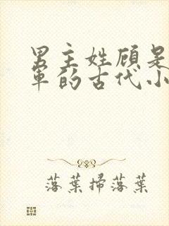 男主姓顾是个将军的古代小说