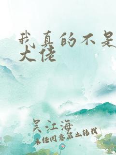 我真的不是反派大佬