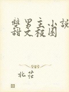 双男主小说推荐甜文校园