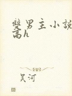 双男主小说双性高h