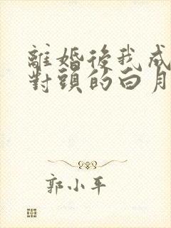离婚后我成了死对头的白月光全文版