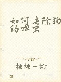 如何去除狗身上的蜱虫