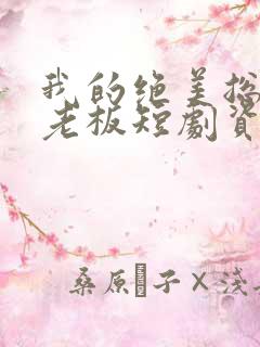 我的绝美总裁女老板短剧资源